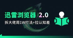迅雷浏览器项目2.0_拆个大佬周1W的打法-琴书聊项目