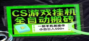 CSGO游戏挂机捡漏搬砖，超稳定的项目，带领1000+小白实现日入500+-琴书聊项目