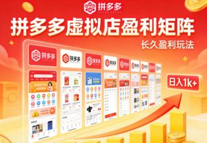实测可落地！拼多多虚拟店长久盈利玩法，矩阵放大收益，日入1k+不难【揭秘】-琴书聊项目