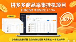 拼多多商品信息全自动采集项目,批量可矩阵,单机轻松日入300+,无需云机一台电脑开干【揭秘】-琴书聊项目