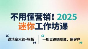 不用懂营销！2025 迷你工作坊课：送填空大纲 + 模板，一周卖课赚现金、圈客户-琴书聊项目