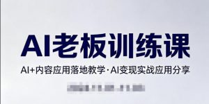 内容AI老板训练课，AI+内容应用落地教学，AI变现的实战应用分享-琴书聊项目