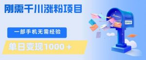 刚需千川涨粉项目，一部手机无需技术，单日变现1k+，当天做当天见收益【揭秘】-琴书聊项目
