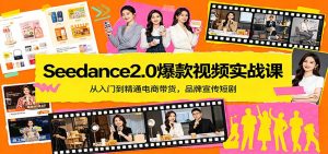 Seedance2.0爆款视频实战课：从入门到精通电商带货，品牌宣传短剧-琴书聊项目