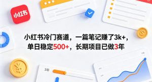 小红书冷门赛道，一篇笔记賺了3k+，单日稳定500+，长期项目已做3年【揭秘】-琴书聊项目