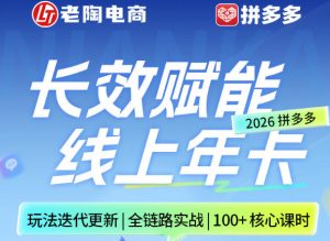 拼多多线上SVIP线上年卡，从认知到基础、从推广到活动、从活动到玩法，全链路实战(26年4月15日更新)-琴书聊项目