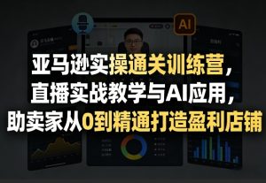 亚马逊实操通关训练营，直播实战教学与AI应用，助卖家从0到精通打造盈利店铺(更新4月17日)-琴书聊项目