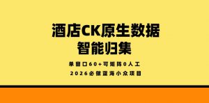 酒店CK原生数据智能归集，单窗口60+可矩阵0人工，2026必做蓝海小众项目【揭秘】-琴书聊项目