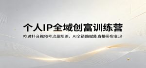 个人IP全域创富训练营：吃透抖音视频号流量规则，AI全链路赋能直播带货变现-琴书聊项目