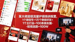 某大佬超级流量IP搞钱训练营，1个微信号+1万个微信好友+1个主打品+100条朋友圈-短视选题=100W-琴书聊项目
