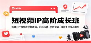 短视频IP高阶成长班：拆解小红书底层流量逻辑，对标选题+拍摄剪辑+ 精准引流实战教学-琴书聊项目