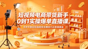 短视频电商带货新手0到1实操爆单直播课，手把手教你短视频带货爆技巧出单搞佣金-琴书聊项目