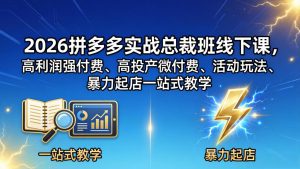 2026拼多多实战总裁班线下课，高利润强付费、高投产微付费、活动玩法、暴力起店一站式教学-琴书聊项目