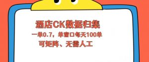 上班也能玩的酒店CK数据归集，一单0.7单窗口每天可做100单，一个人就能矩阵操作【揭秘】-琴书聊项目