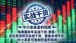 电商圈多年实战干货-更新4月27：多位资深师兄实战干货/覆盖全域平台，中小卖家可复制的盈利指南-琴书聊项目