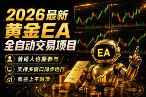 最新黄金EA量化赛道，全程自动执行，多窗口操作直接放大结果-琴书聊项目