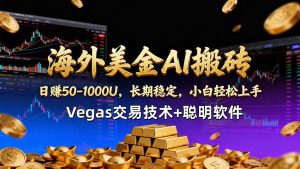 海外美金AI搬砖技术Vegas交易技术+聪明软件【训练营第七期】，日赚50-100U-琴书聊项目