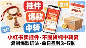 小红书卖挂件，不囤货纯中转复制爆款玩法，单日盈利3-5张-琴书聊项目