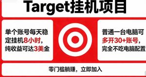 海外平台Target，正规运营商合作、技术兜底长期稳定、防风控、任务不断档、收益透明、灵活提…-琴书聊项目