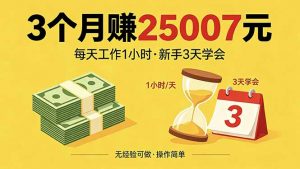 3个月赚钱25007元，每天工作1个小时，新手3天全部学会！-琴书聊项目