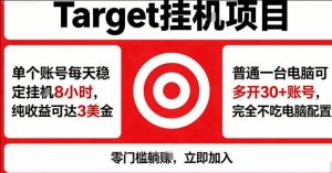 海外平台Target商品浏览曝光，24小时运行无需人工值守，日收益100美刀+电脑可多开【揭秘】-琴书聊项目