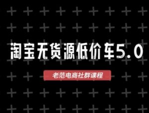 淘宝无货源价车5.0，2026最新VIP淘宝无货源课程，1688代发，蓝海选品，零成本创业首选(更新26年5月8日)-琴书聊项目