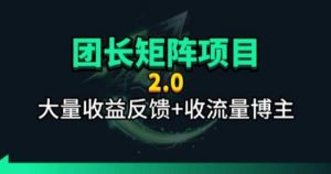 【团长合作2.0】视频矩阵项目_招发手矩阵+剪辑师，共赢项目【揭秘】-琴书聊项目