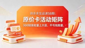 拼多多实战课58期：原价卡活动矩阵，300链接批量上大促，不亏钱跑量-琴书聊项目