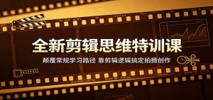 全新剪辑思维特训课：颠覆常规学习路径，靠剪辑逻辑搞定拍摄创作-琴书聊项目