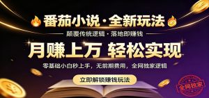 番茄小说5月最新独家玩法,稳定落地实测月入过万!-琴书聊项目