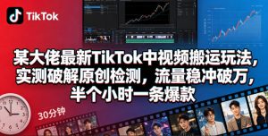 某大佬最新TikTok中视频搬运玩法,实测破解原创检测,流量稳冲破万,半个小时一条爆款-琴书聊项目