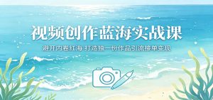 视频创作蓝海实战课:避开内卷红海,打造独一份作品引流接单变现-琴书聊项目
