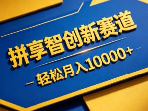拼享智创新赛道，轻松月入1W+，门槛极低、收益稳定、可长期放大的轻资产项目【揭秘】-琴书聊项目