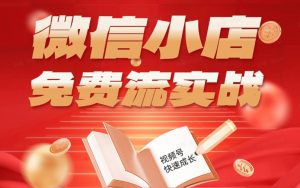 微信小店免费流实战，有货源无货源双模式，从开店到爆单全实操课，小白也能月入1W+-琴书聊项目