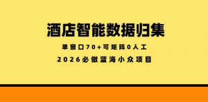 酒店智能数据归集，小众蓝海已经稳定半年之久，单窗口70+零成本矩阵开干【揭秘】-琴书聊项目
