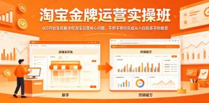 淘宝金牌运营实操班，从0开始系统解决你淘宝运营核心问题，手把手带你完成从小白到高手的蜕变-琴书聊项目