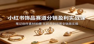 小红书饰品赛道分销盈利实战课：笔记创作素材拍摄，从起号到运营全链路实操-琴书聊项目
