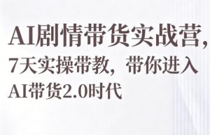AI剧情带货实战营，7天实操带教，带你进入AI带货2.0时代-琴书聊项目