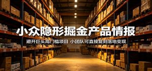 小众隐形掘金产品情报：避开巨头高门槛项目，小团队可直接复刻落地变现-琴书聊项目