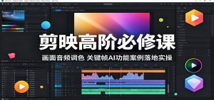 剪映高阶必修课：画面音频调色，关键帧AI功能案例落地实操-琴书聊项目