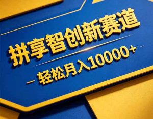 拼多多享智创新赛道，卖一切可以通过网盘链接交付的虚拟商品，轻松月入10000＋-琴书聊项目