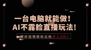 一台电脑就能做！AI不露脸直播玩法，照抄流程轻松达标月入2W+-琴书聊项目