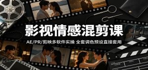 影视情感混剪课：AE/PR/剪映多软件实操，全套调色预设直接套用-琴书聊项目