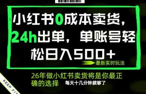 小红书0成本AI卖货，24小时出单，全流程托管，保底日入500+，每天十几分钟就够了【揭秘】-琴书聊项目