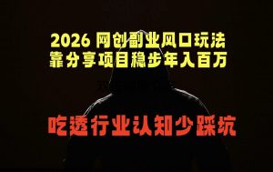 2026 网创副业风口玩法，靠分享项目稳步年入百万，吃透行业认知少踩坑-琴书聊项目