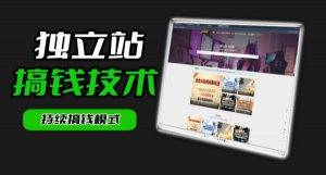 干货来袭！麦子甜带你吃透独立站｜从搭建到引流一站式教学《独立站》第一期-琴书聊项目