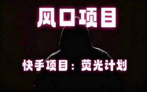 快手风口项目，荧光计划托管，长期稳定，适合批量做-琴书聊项目