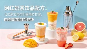网红奶茶饮品配方：台式港式果茶奶盖杨枝甘露，完整资料包制作教程合集-琴书聊项目