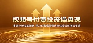 视频号付费投流操盘课：多维分析投放策略，借力付费流量带动自然流长效增长收益-琴书聊项目