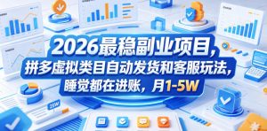 2026最稳副业项目，拼多多虚拟类目自动发货和客服玩法，睡觉都在进账，月1-5W【揭秘】-琴书聊项目
